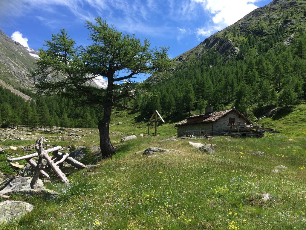 Chalet Sunstar Saas-Grund Eksteriør bilde