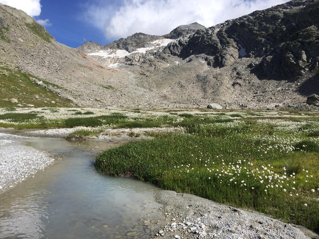 Chalet Sunstar Saas-Grund Eksteriør bilde